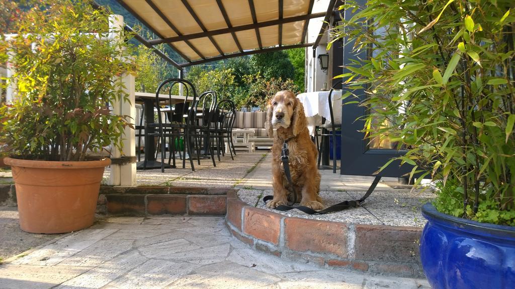 Hotel Cubamia Romano D'Ezzelino ภายนอก รูปภาพ